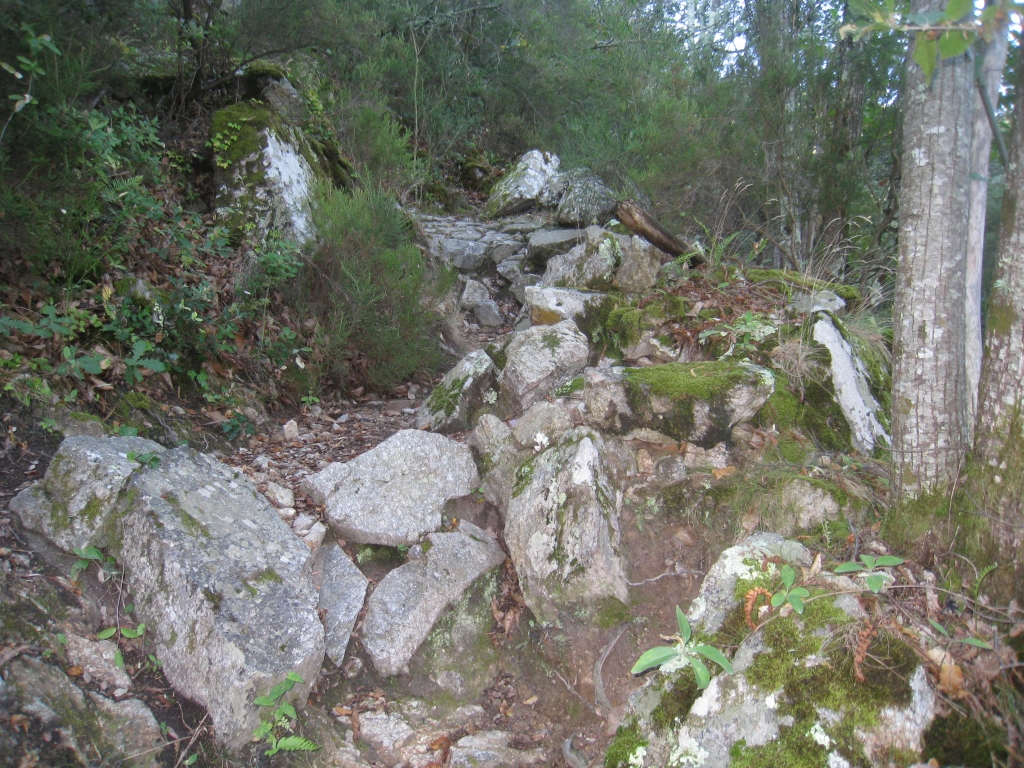 Ascent from Arles