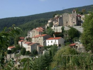 Corsavy