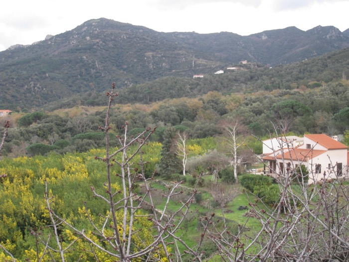Les Cabanes de Mataporc : from Laroque des Albères
