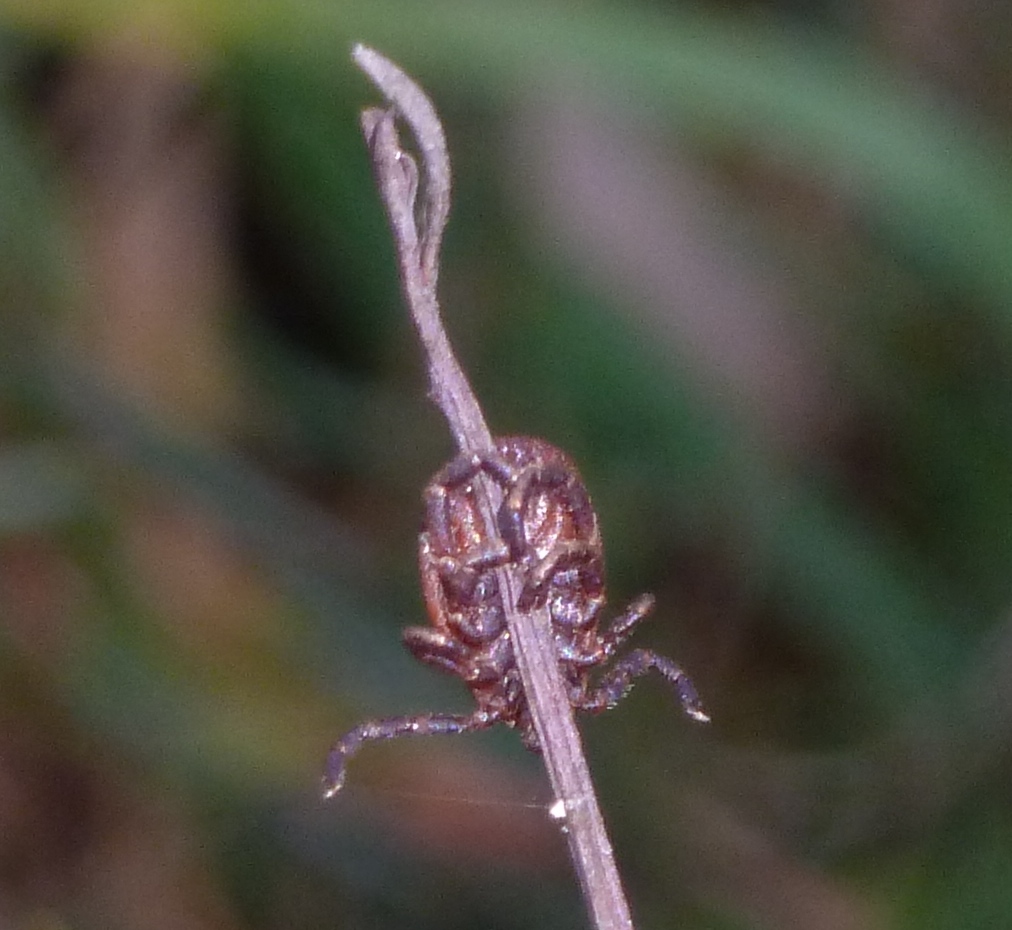 P1010547