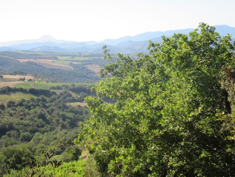 Walk: Montner Força Réal Circular