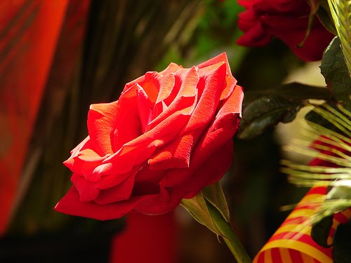 San Jordi