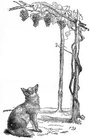 Fox and grapes