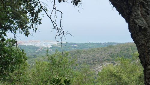 Chapelle St Laurent, Argeles