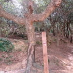 Walk the Region – LE FORT DE BELLEGARDE CIRCULAR