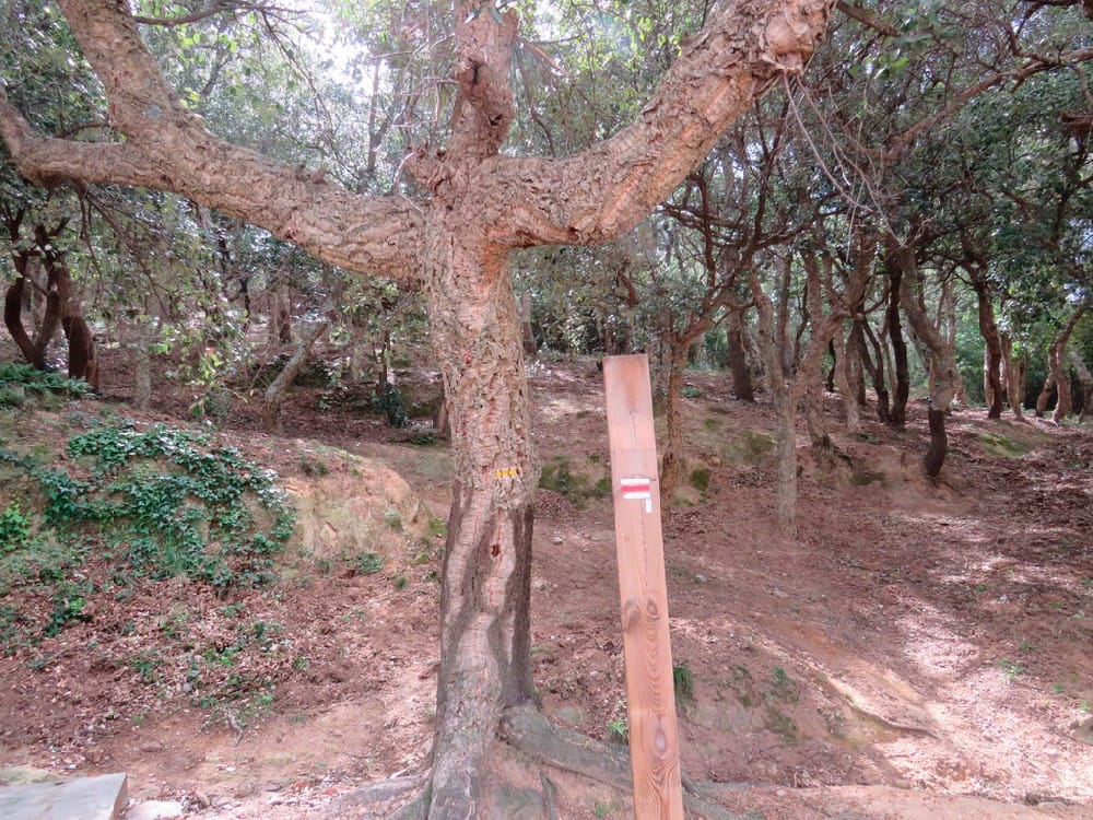 Walk the Region – LE FORT DE BELLEGARDE CIRCULAR