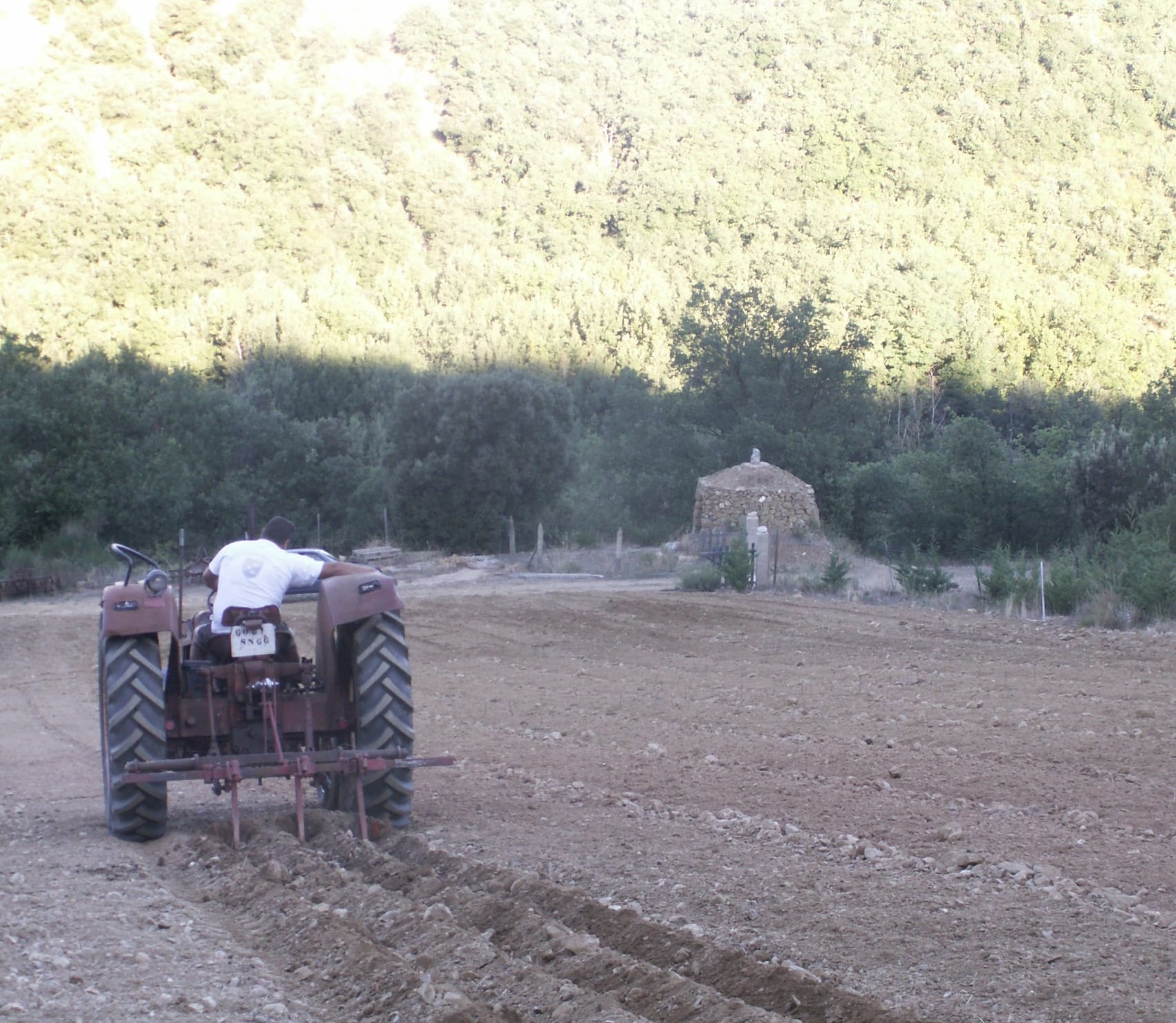 Preparing the field