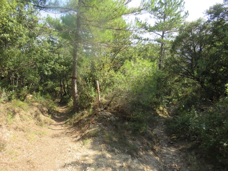 Walk the Region – Amelie, Montbolo, Palalda