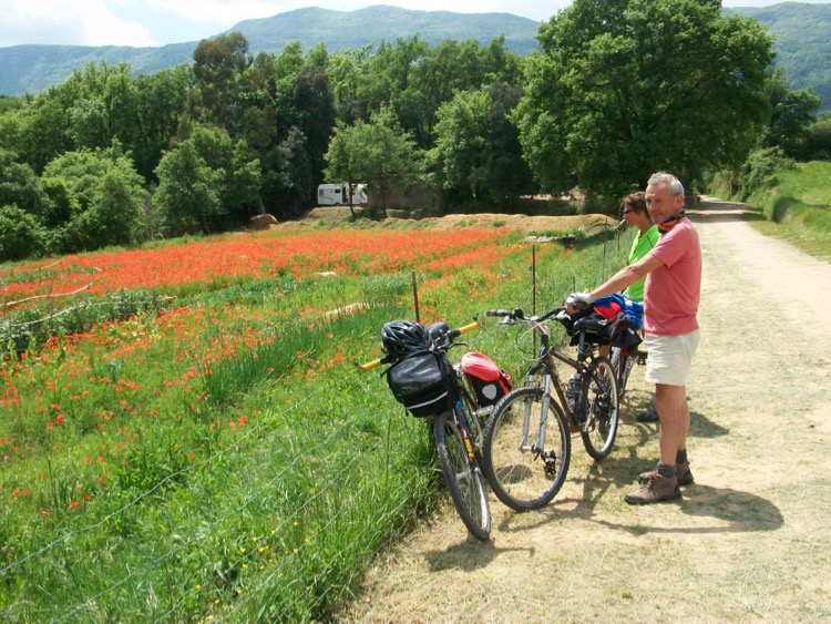 Céret Diaries