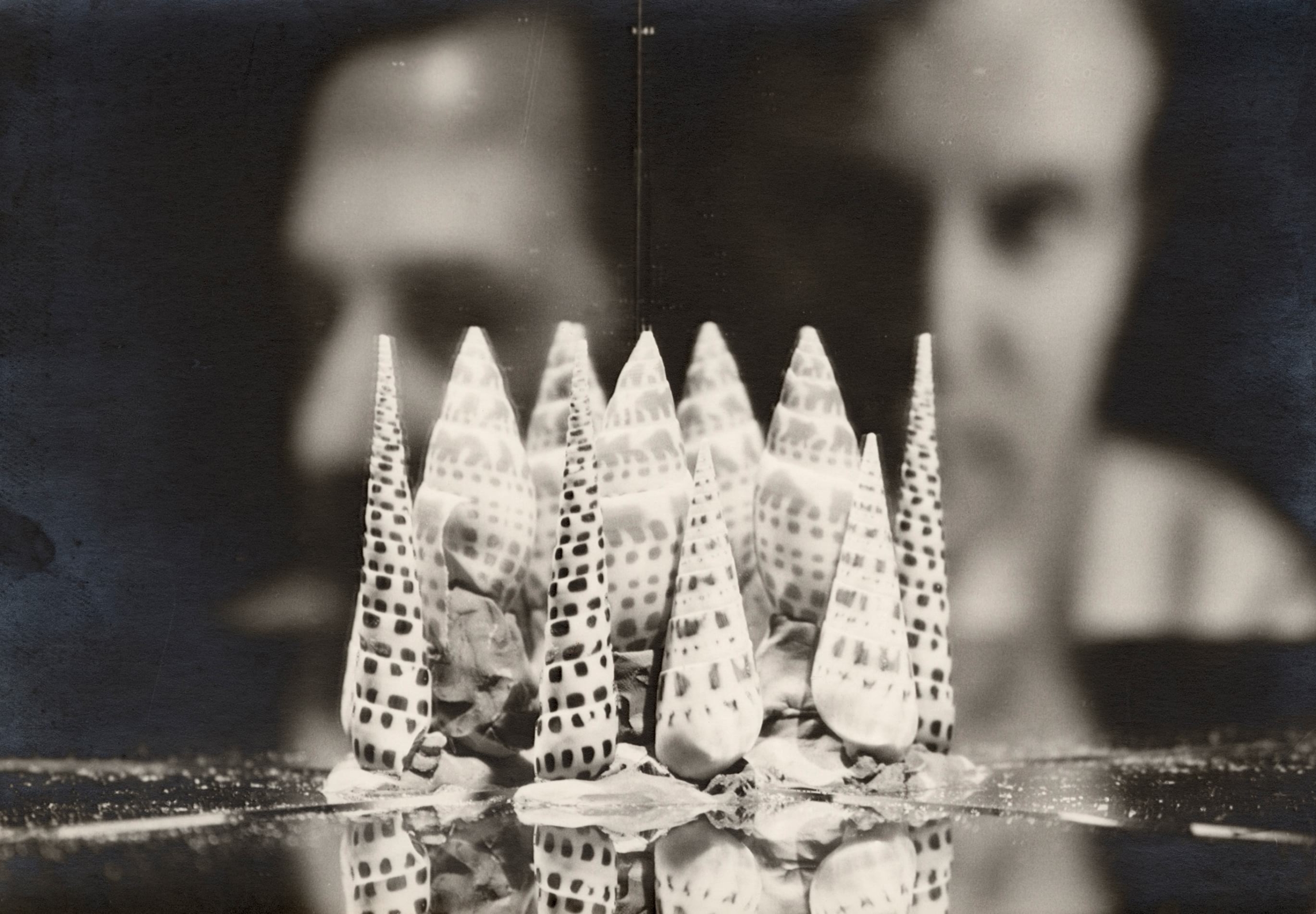 Salvador Dali at Musée d'art moderne, Céret