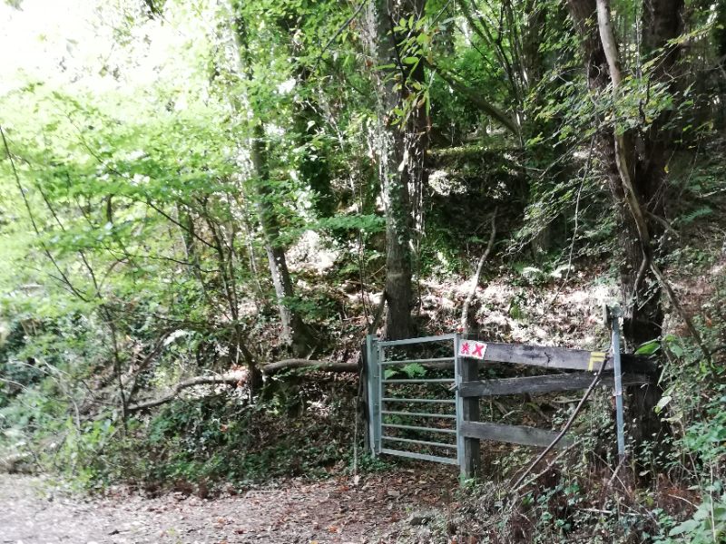 cabrenç