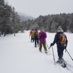 Snowshoe walks in Pyrenees