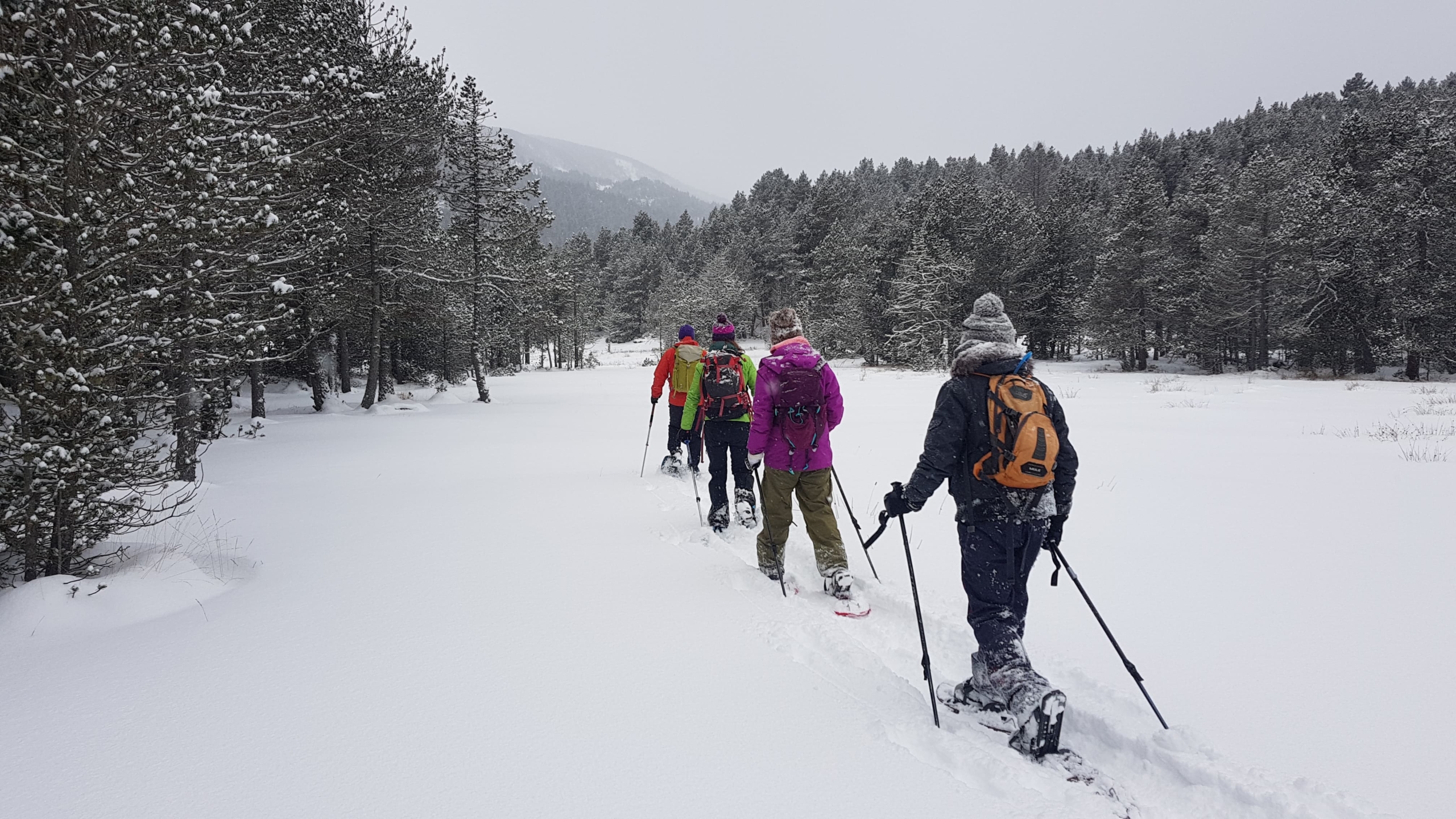 Snowshoe walks in Pyrenees