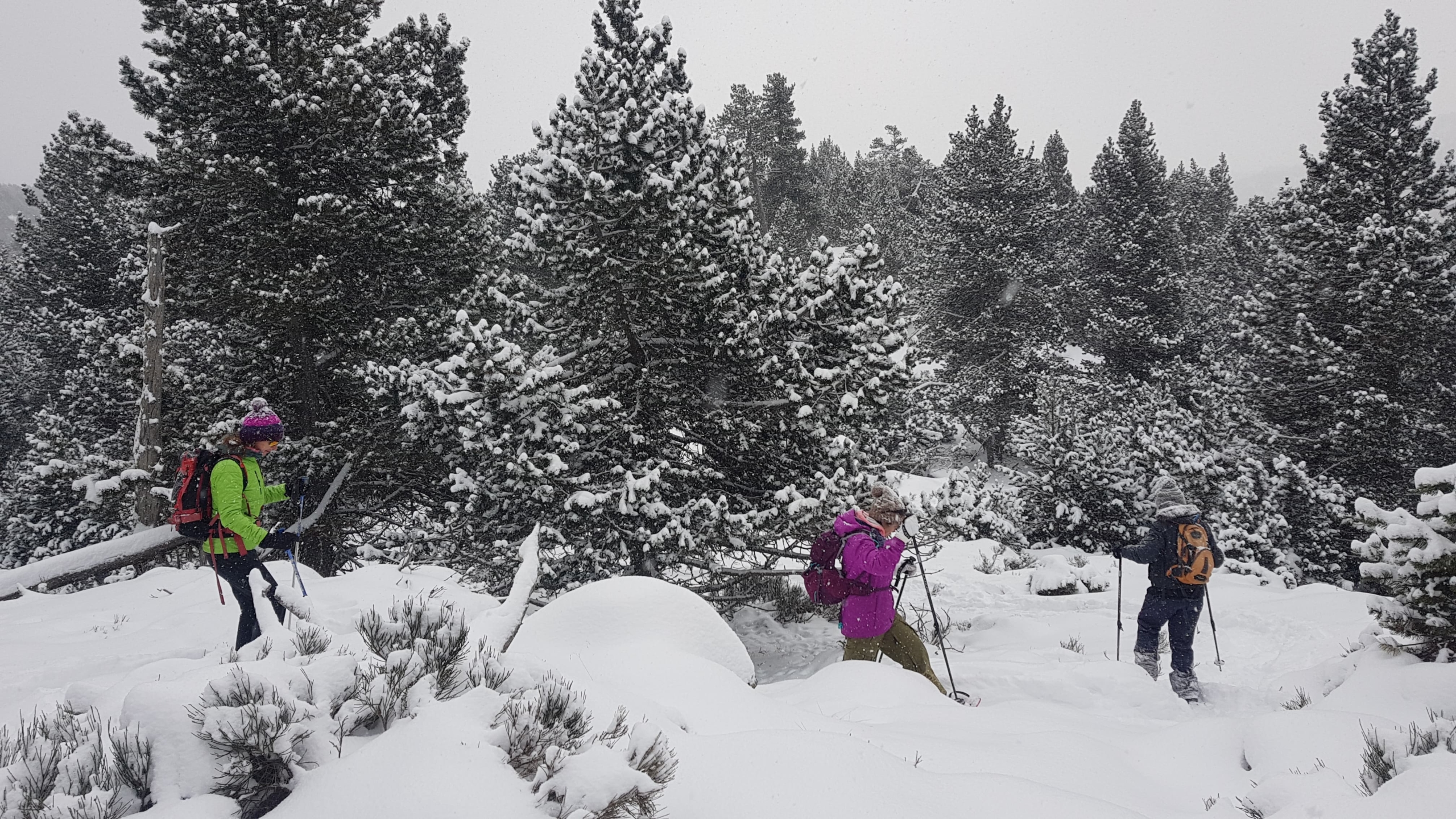 Snowshoe walking in the Pyrenees 