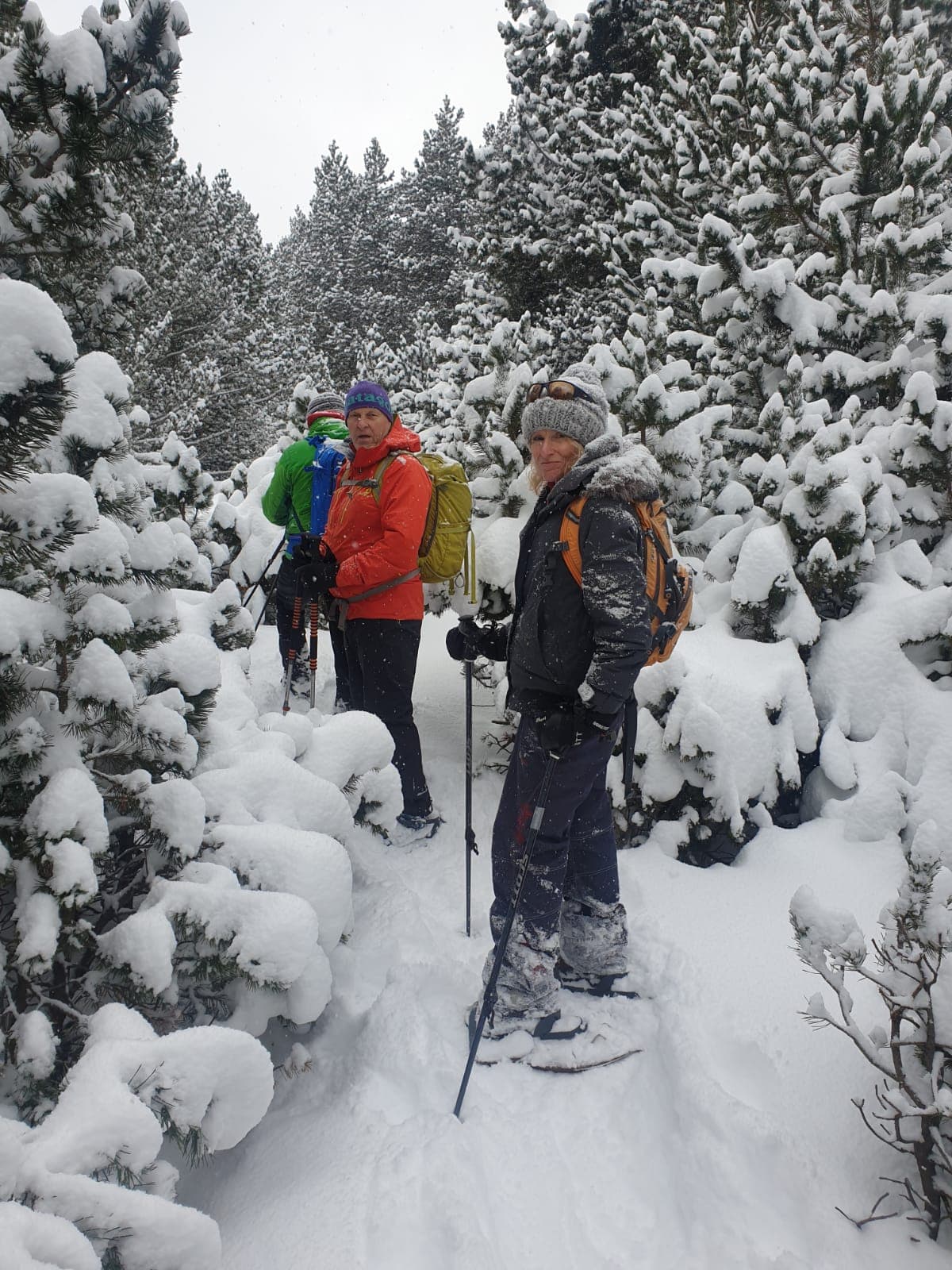 Snowshoe walking in the Pyrenees 