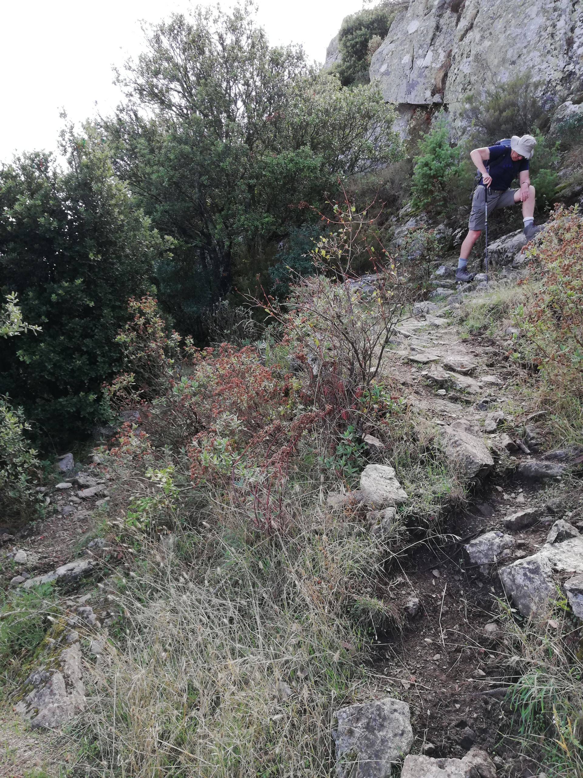 walk the region