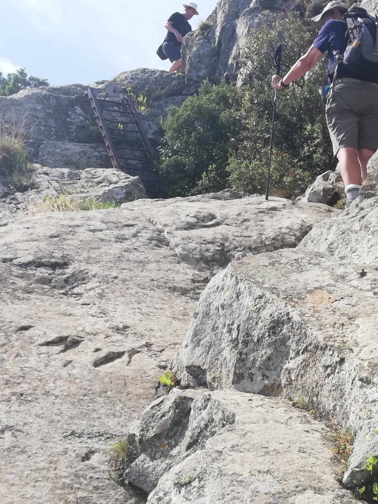 walk the region