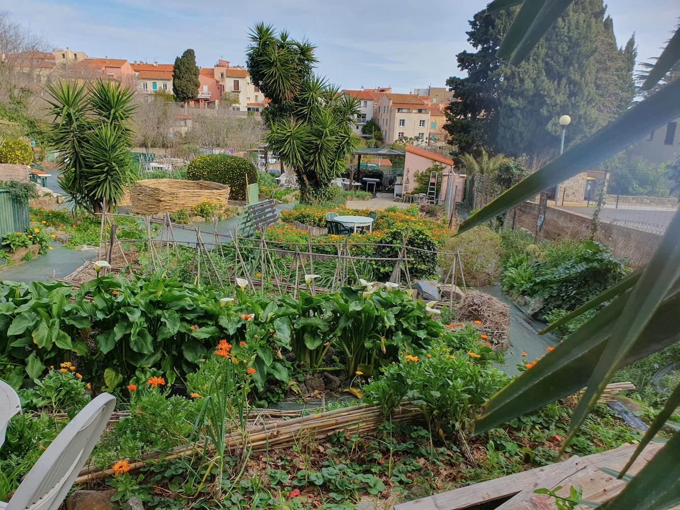 Jardin Denat, Collioure. A Hidden Gem