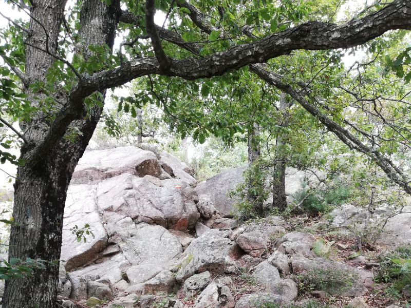 23 Rocks on path to 3 towers
