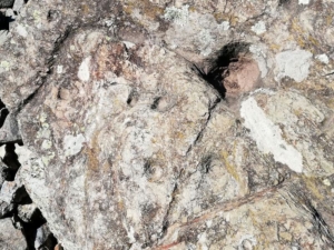 Dolmen de la Creu de la Llosa