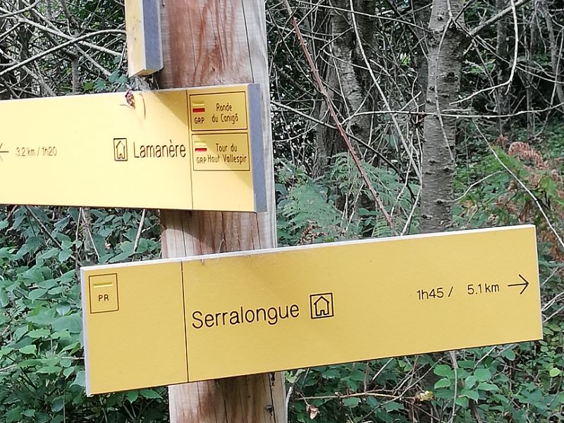 38 Waymark at route into beech wood