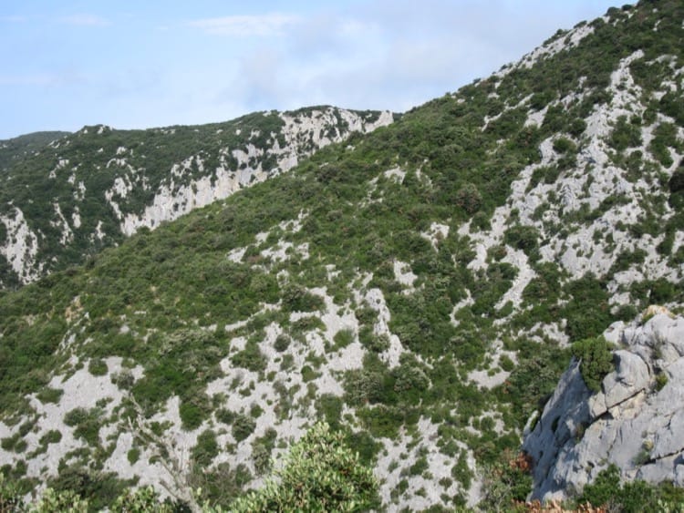 Les crêtes de Galamus