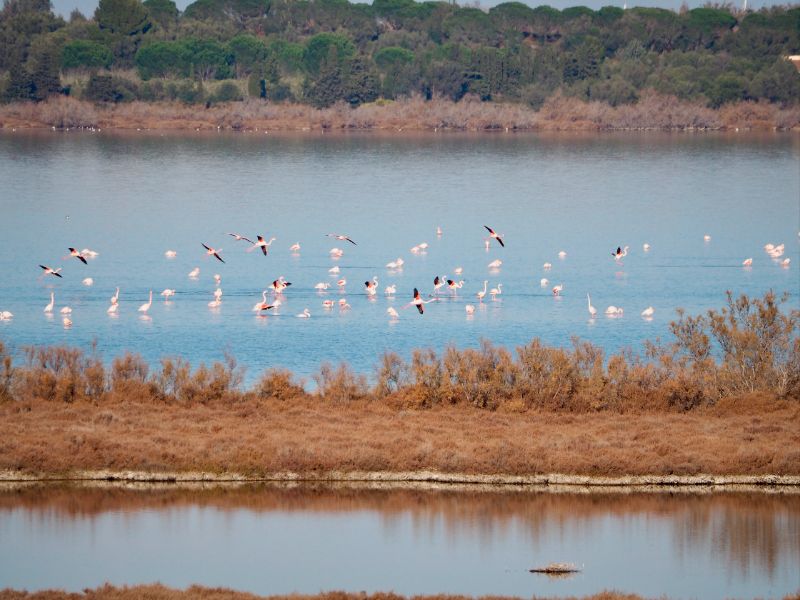 canet lagoon