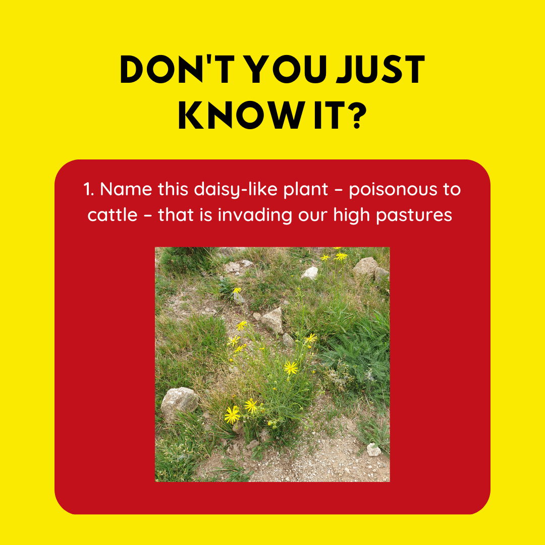 po naturally