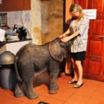 Baby Tom with Françoise in her kitchen Baby Tom with Françoise in her kitchen