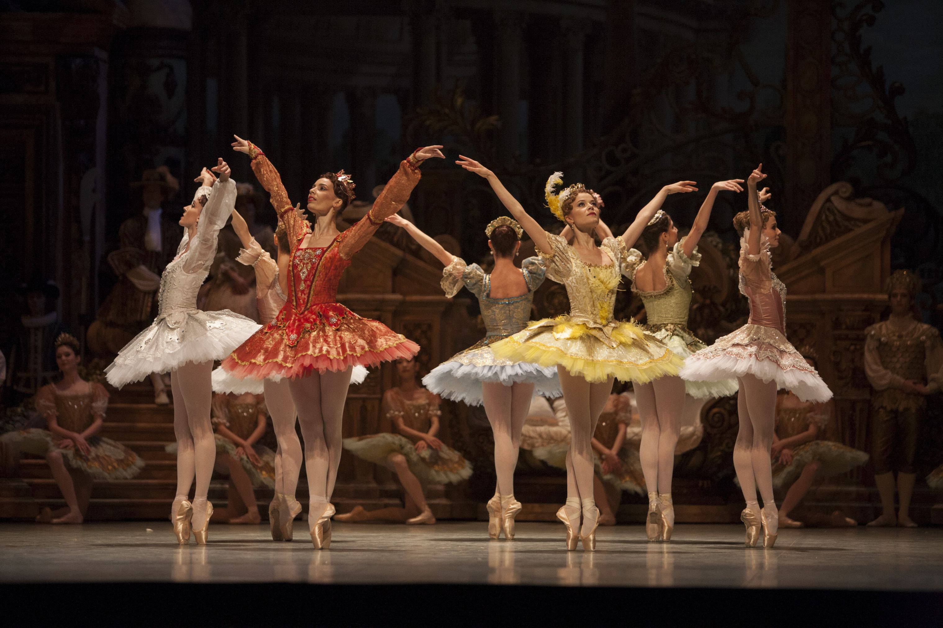 Ballet La Belle Au Bois Dormant P O Life ballet-la-belle-au-bois-dormant-p-o-life