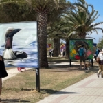 Urb'Art Argelès