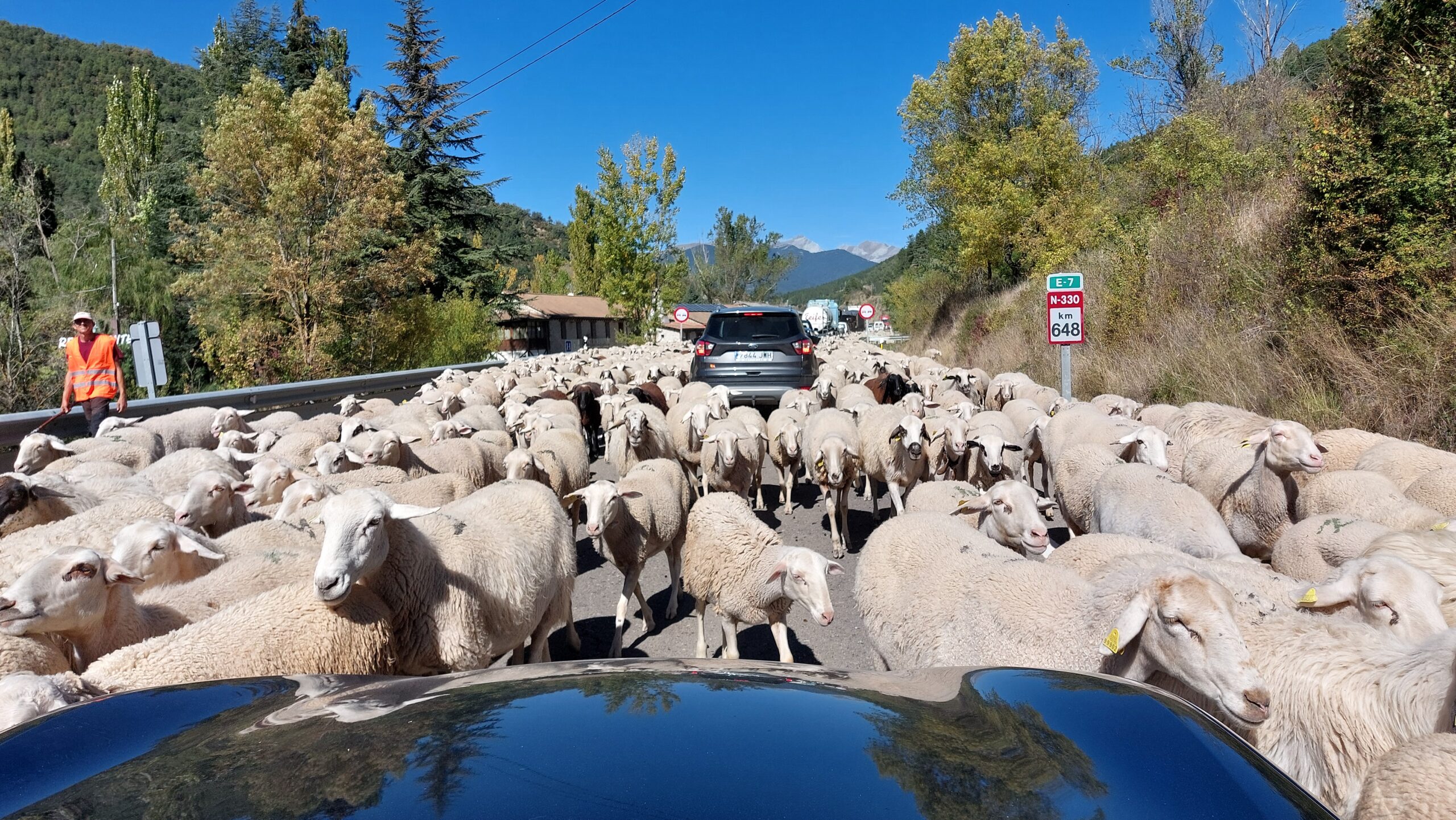 The Pyrenees: A Human History….with Colin Duncan Taylor