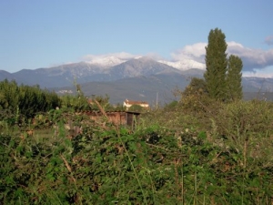 Canigou