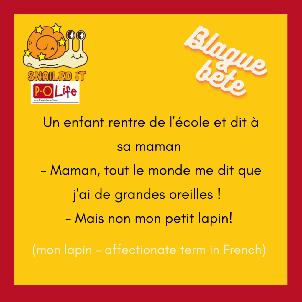 Blague bête