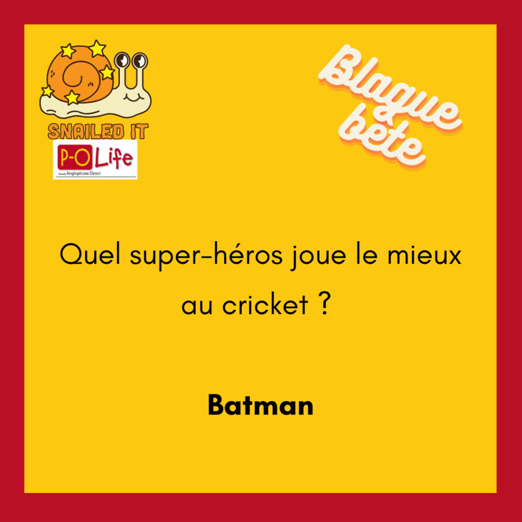 Blague bête 2