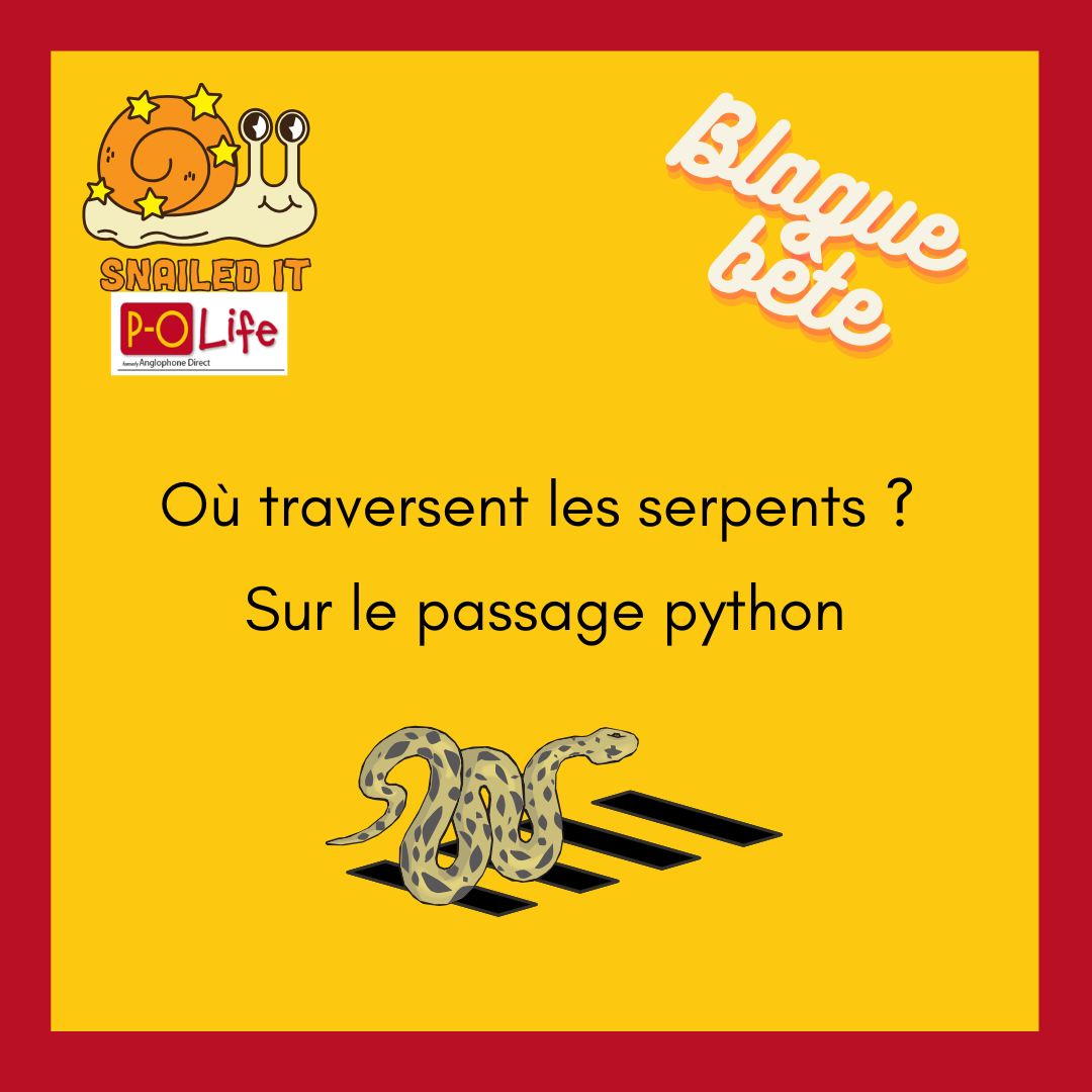 Blague bête