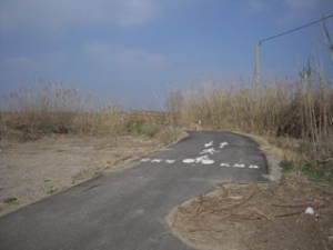 Cycle path