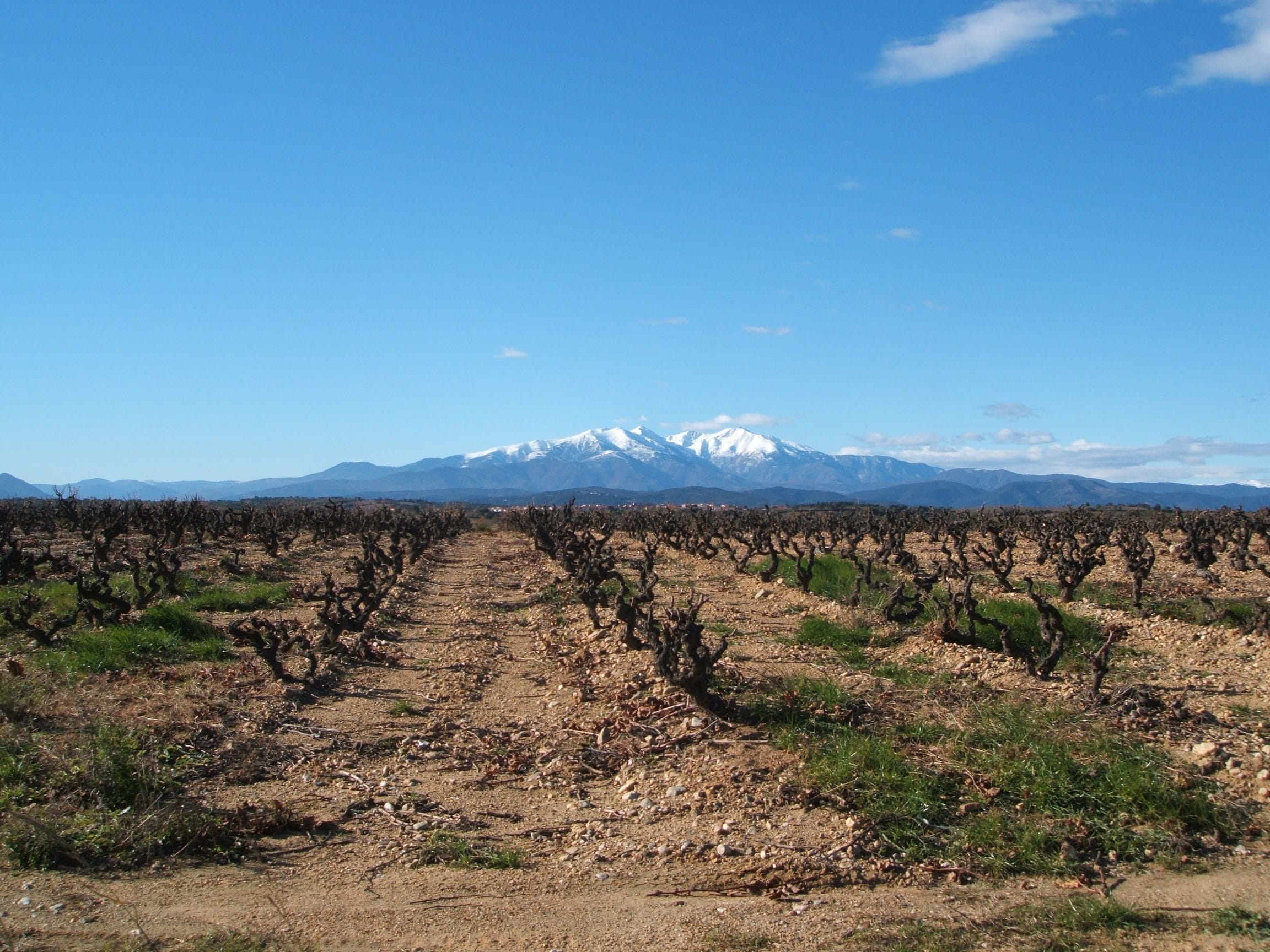 Dogs Tooth Peak & all Things Canigou