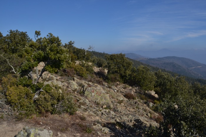 Escape routes over the pyrenees