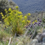 Walk the Region – LE FORT DE BELLEGARDE CIRCULAR