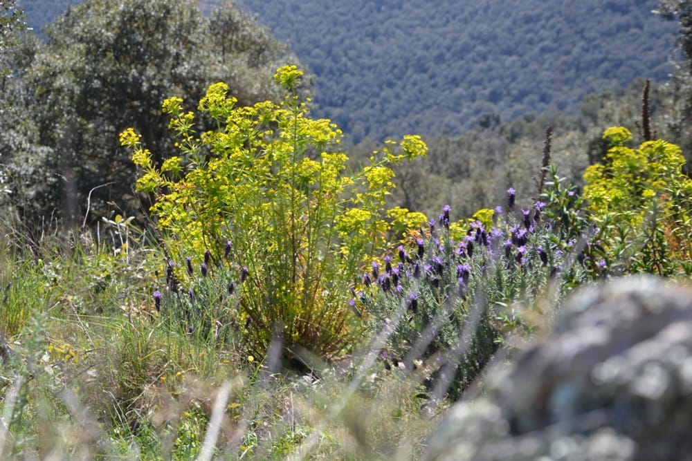 Walk the Region – LE FORT DE BELLEGARDE CIRCULAR