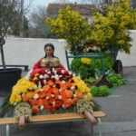 On the occasion of the Fête de la Sainte Dorothée, patron saint of gardens and gardeners, Saint-Esteve once again celebrates this yearly event
