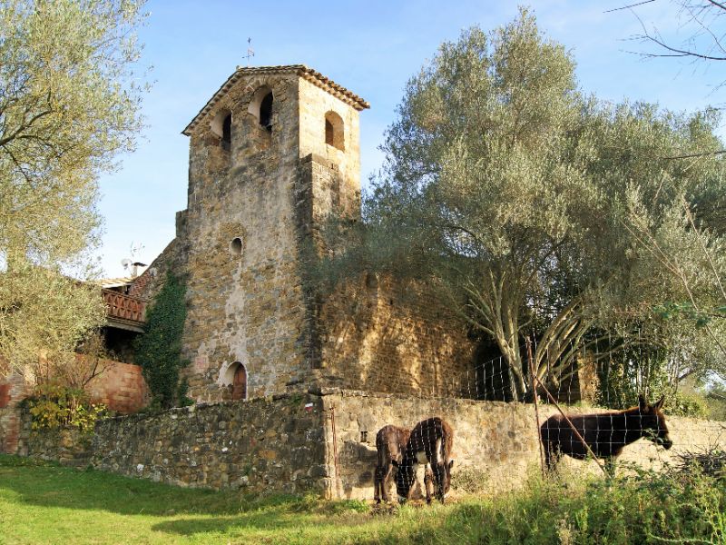 Santa Maria de Palera