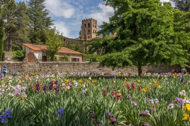 Abbaye saint Michel de Cuxa