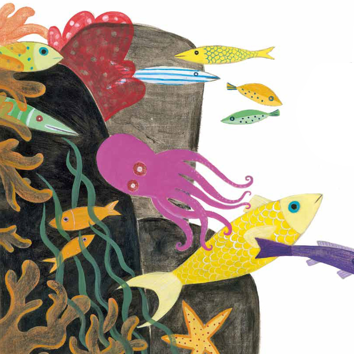 Matisse revisited Collioure museum