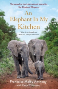 Final cover Elephant in my Kitchen