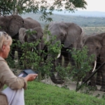 Françoise with the herd visiting at her home at Thula Thula game reserve Françoise with the herd visiting at her home at Thula Thula game reserve
