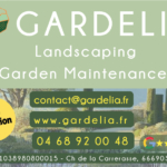 Gardelia