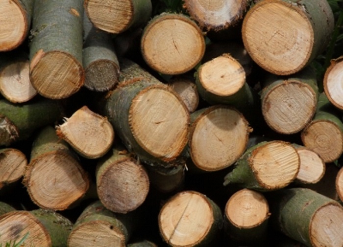 CHOOSING YOUR WOOD FOR YOUR WOOD BURNER