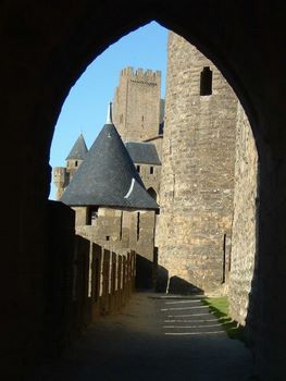 Carcassonne: Dream or Nightmare?